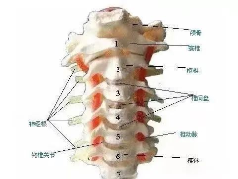 微信图片_20220316105450.jpg