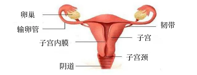 微信图片_20220331092846.png