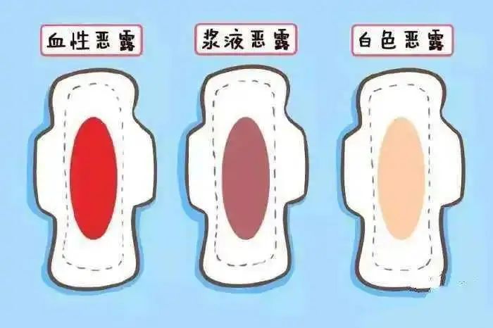 微信图片_20220331092856.jpg